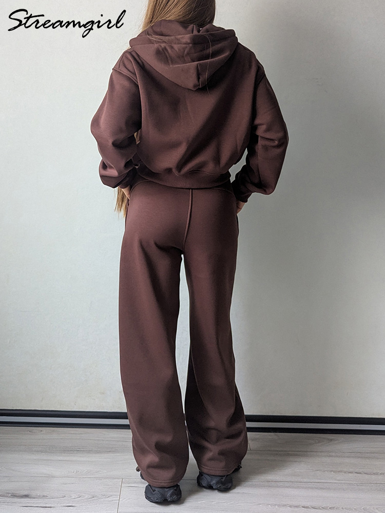 겨울 플리스 바지 세트 여성용 갈색 트랙수트 투피스 긴 - Fleece Hoodie Lined 리뷰 및 가격